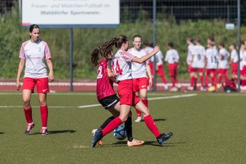 Bild 203 - wBJ Walddoerfer - Eimsbuettler TV : Ergebnis: 1:6